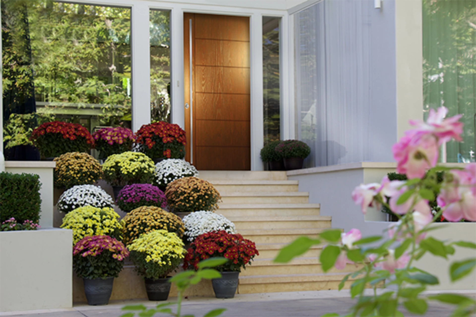 Sustainability: Comparing Wood, Fiberglass, and Steel Entry Doors