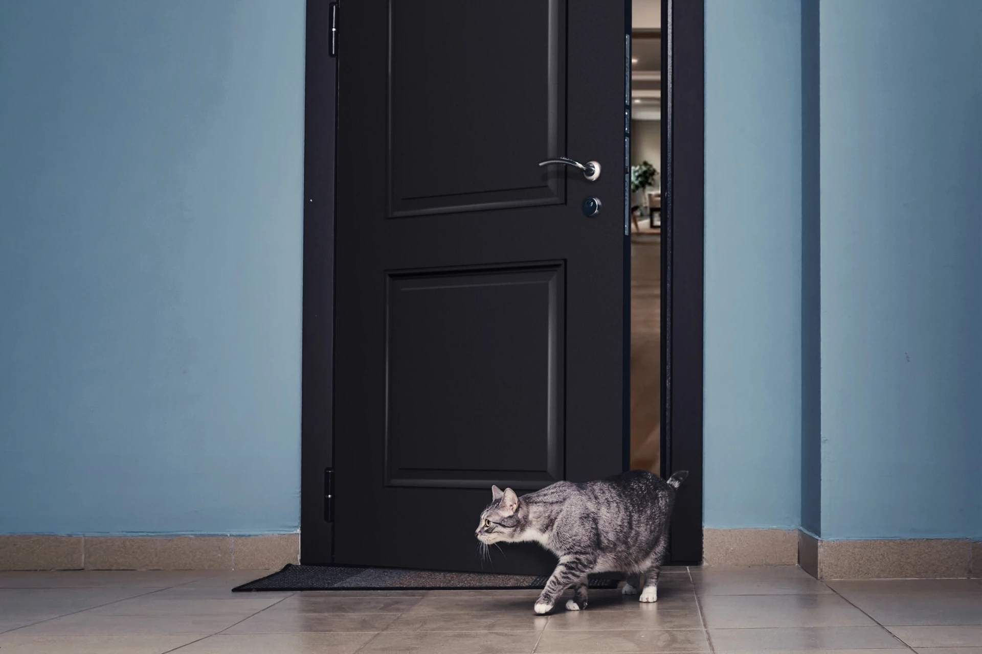 Pet-Friendly Doors: Features and Benefits for Your Furry Friends