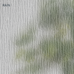 ONYX 1/2 Lite Direct Glazed Rain LowE